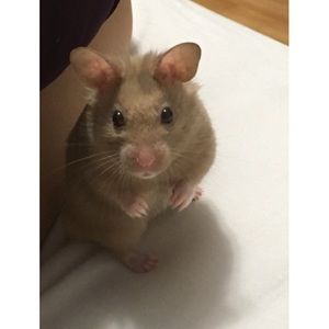 Meet your Posher, Stephanie